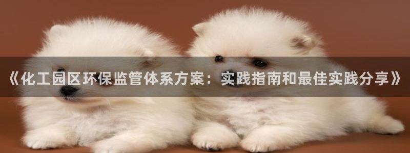 亿万先生网红：《化工园区环保监管体系方案：实践指南和最佳实践分享》