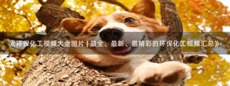 亿万笞人：《环保化工视频大全图片 | 最全、最新、最精彩的环保化工视频汇总》