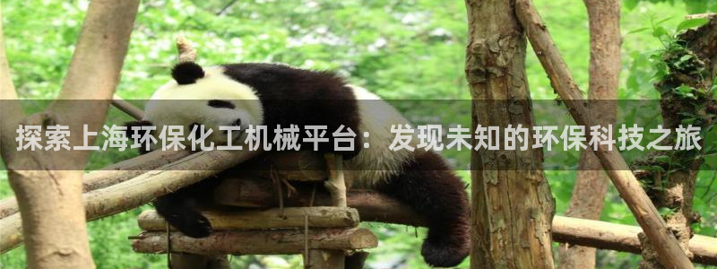 亿万 在线