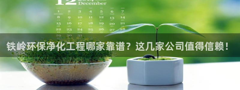 亿万乐购生活超市：铁岭环保净化工程哪家靠谱？这几家公司值得信赖！