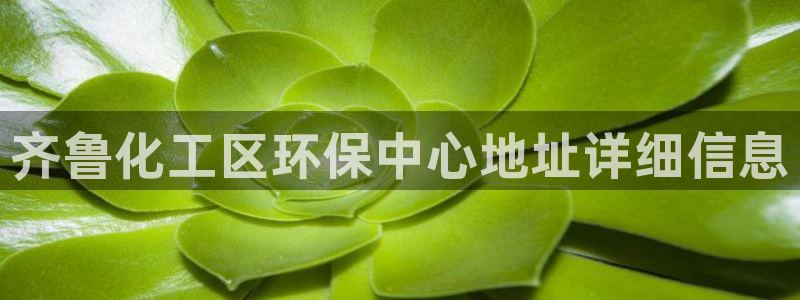 亿万先生mr008：齐鲁化工区环保中心地址详细信息