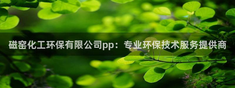 亿万先生手机网页：磁窑化工环保有限公司pp：专业环保技术服务提供商