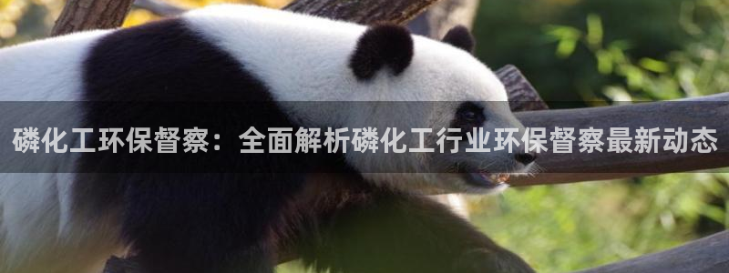 亿万先生客服联系
