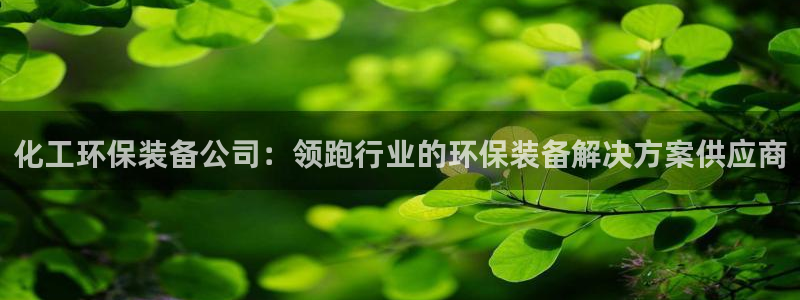 亿万讲了什么：化工环保装备公司：领跑行业的环保装备解决方案供应商