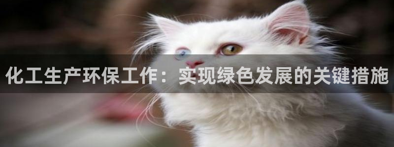 亿万网友在线实时为您解答