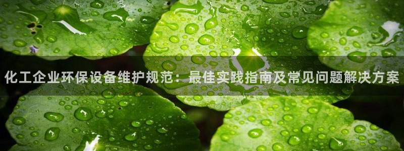 mr8001亿万先生：化工企业环保设备维护规范：最佳实践指南及常见问题解决方案