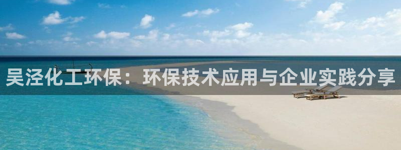 亿万讲了什么：吴泾化工环保：环保技术应用与企业实践分享