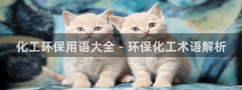 亿万先生客户端官网登录不上：化工环保用语大全 - 环保化工术语解析
