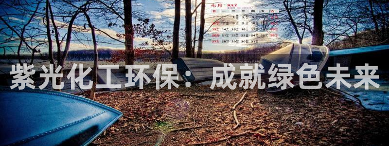 亿万先生手机版客户端下载官网：紫光化工环保：成就绿色未来