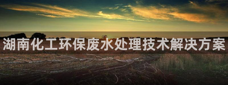亿万先生手游下载安装：湖南化工环保废水处理技术解决方案