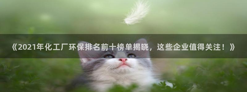 亿万先生情侣车有什么用：《2021年化工厂环保排名前十榜单揭晓，这些企业值得关注！》