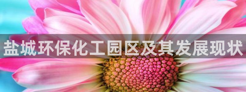 亿万先生mr网址：盐城环保化工园区及其发展现状