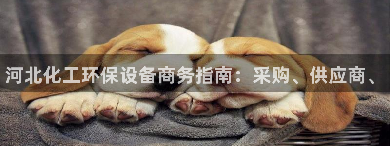 亿万官网手机登录：河北化工环保设备商务指南：采购、供应商、