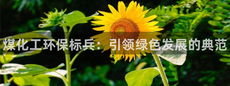 亿万网友在线实时为您解答问题：煤化工环保标兵：引领绿色发展的典范