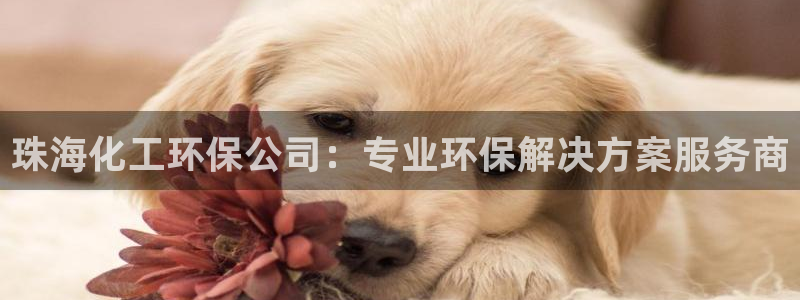 亿万网友在线实时为您解答问题：珠海化工环保公司：专业环保解决方案服务商
