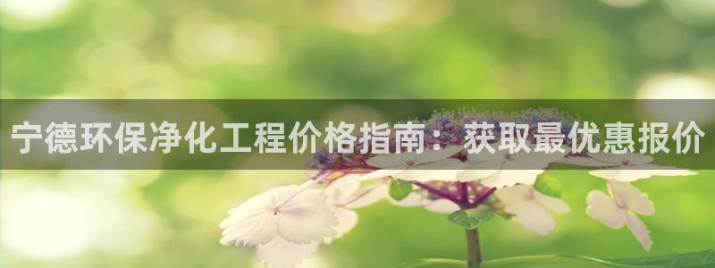 亿万国际游戏官网：宁德环保净化工程价格指南：获取最优惠报价