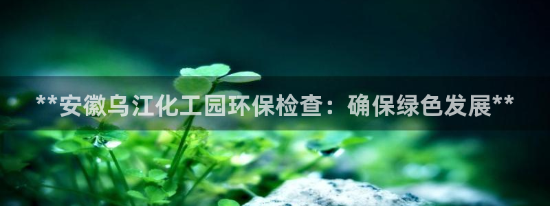 亿万讲了什么：**安徽乌江化工园环保检查：确保绿色发展**