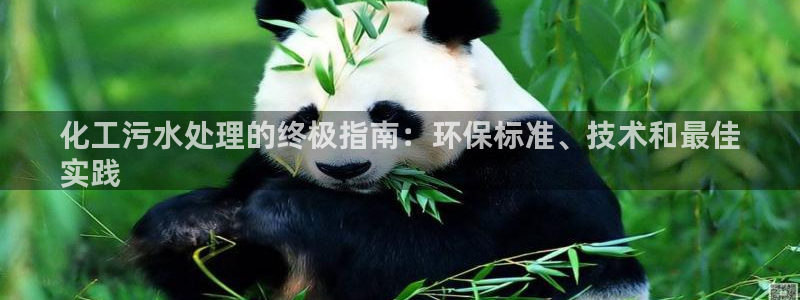 亿万国际：化工污水处理的终极指南：环保标准、技术和最佳
实践