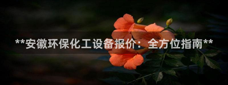 亿万官网字幕：**安徽环保化工设备报价：全方位指南**