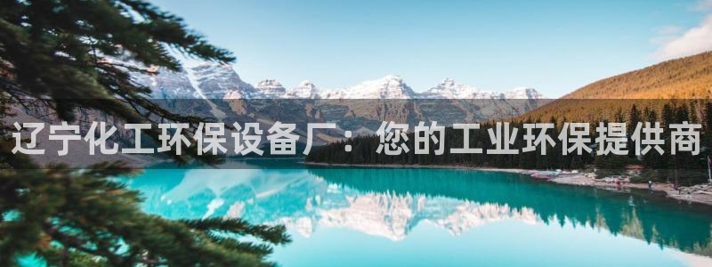 亿万先生MR - 亿万先生mr008cc：辽宁化工环保设备厂：您的工业环保提供商