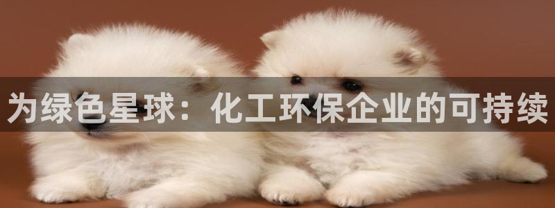亿万贴吧：为绿色星球：化工环保企业的可持续