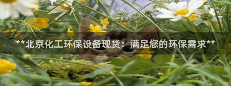 亿万先生客户端官网首页：**北京化工环保设备现货：满足您的环保需求**