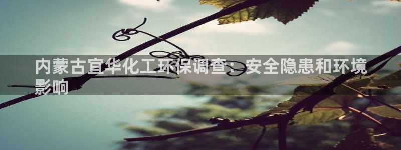 亿万手游平台官网入口：内蒙古宜华化工环保调查：安全隐患和环境
影响