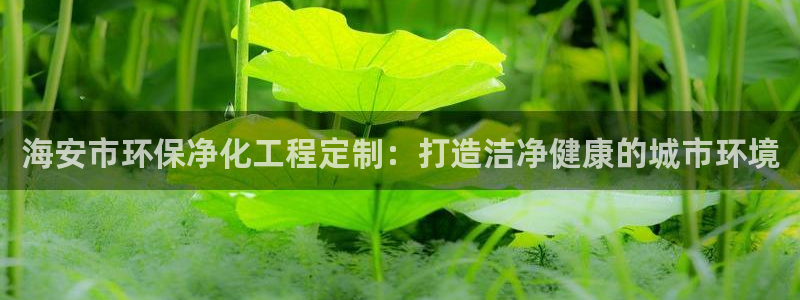 亿万先生是男是女：海安市环保净化工程定制：打造洁净健康的城市环境