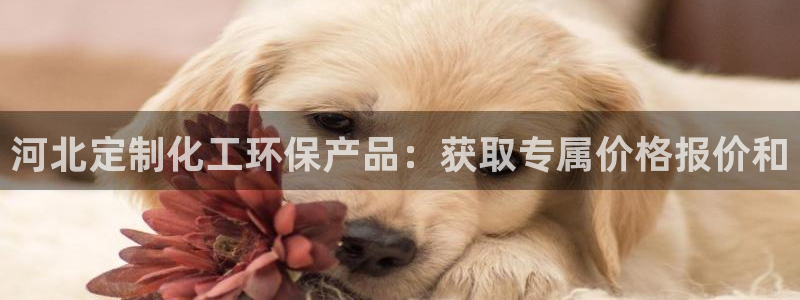 亿万堂官网：河北定制化工环保产品：获取专属价格报价和
