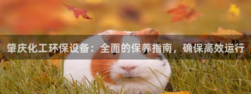 亿万先生手游下载官网：肇庆化工环保设备：全面的保养指南，确保高效运行