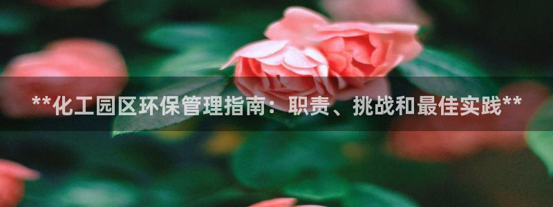 亿万先生007网页登录：**化工园区环保管理指南：职责、挑战和最佳实践**
