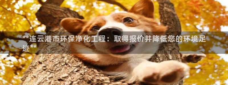 mr003亿万先生：**连云港市环保净化工程：取得报价并降低您的环境足
迹**