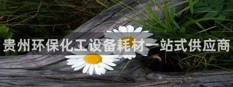 mr8001亿万先生在线存款：贵州环保化工设备耗材一站式供应商