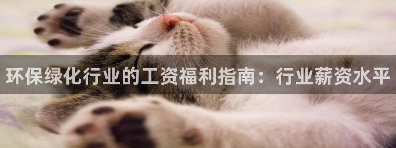 mr003亿万先生：环保绿化行业的工资福利指南：行业薪资水平