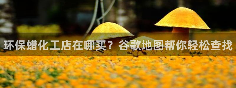 亿万先生官方登录网址：环保蜡化工店在哪买？谷歌地图帮你轻松查找