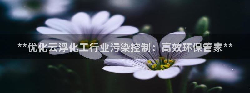 亿万先生007客服：**优化云浮化工行业污染控制：高效环保管家**