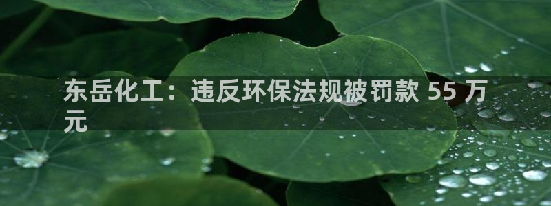 亿万先生手机版入口在哪看：东岳化工：违反环保法规被罚款 55 万
元