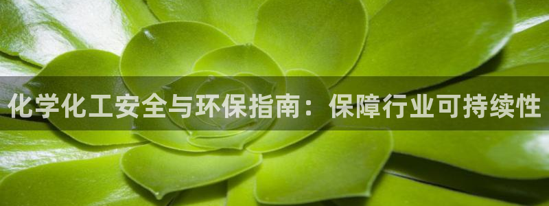 亿万先生手机版客户端下载安装：化学化工安全与环保指南：保障行业可持续性
