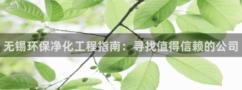 mr003亿万先生：无锡环保净化工程指南：寻找值得信赖的公司