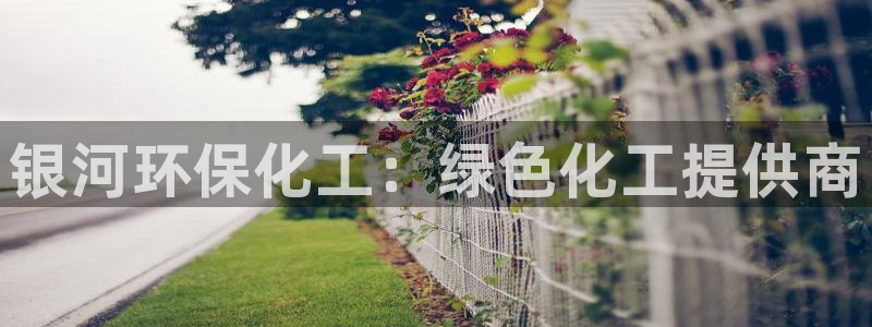 亿万先生007网页登录：银河环保化工：绿色化工提供商