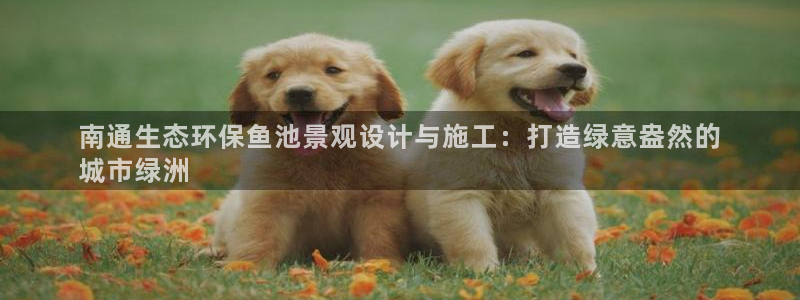 亿万百度百科：南通生态环保鱼池景观设计与施工：打造绿意盎然的
城市绿洲