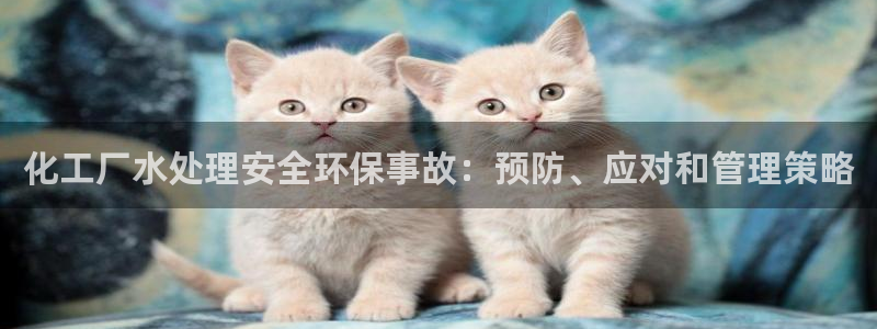 mr8001亿万先生：化工厂水处理安全环保事故：预防、应对和管理策略