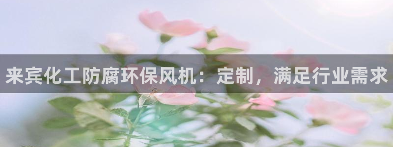亿万番外：来宾化工防腐环保风机：定制，满足行业需求
