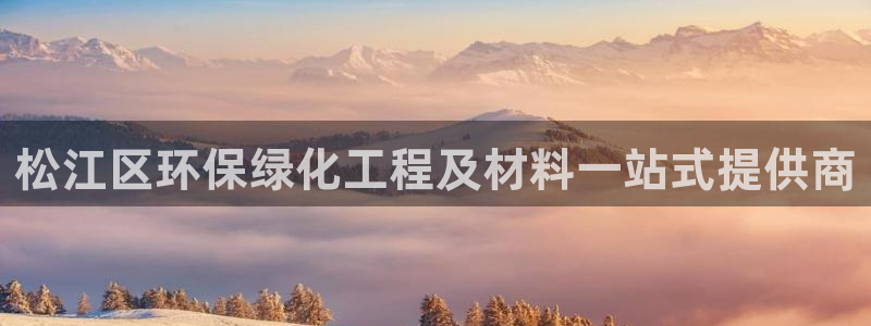 亿万先生 菲律宾：松江区环保绿化工程及材料一站式提供商