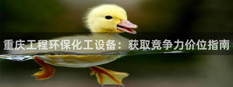 亿万先生手机版入：重庆工程环保化工设备：获取竞争力价位指南