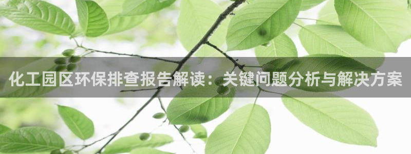 亿万网友在线实时为您解答问题：化工园区环保排查报告解读：关键问题分析与解决方案