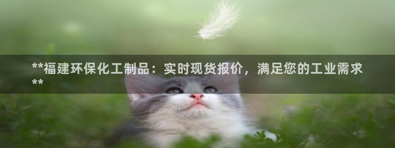 mr07亿万先生：**福建环保化工制品：实时现货报价，满足您的工业需求
**