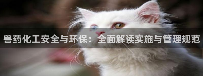 亿万先生官方网站客户端下载安装