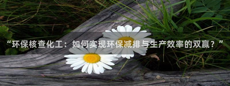 亿万先生007客服：“环保核查化工：如何实现环保减排与生产效率的双赢？”