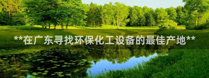 亿万第一集：**在广东寻找环保化工设备的最佳产地**